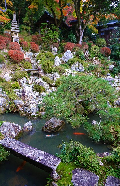 【作例付き撮影地情報】 京都の紅葉を撮る「西山・楊谷寺」
