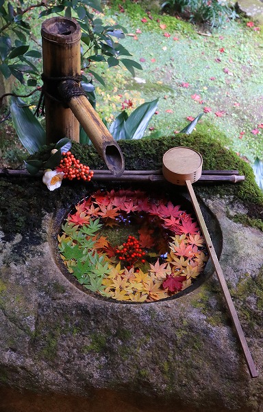 【作例付き撮影地情報】 京都の紅葉を撮る「西山・楊谷寺」