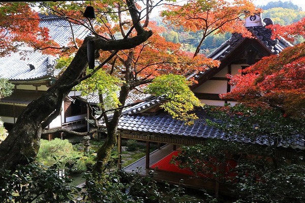 【作例付き撮影地情報】 京都の紅葉を撮る「西山・楊谷寺」