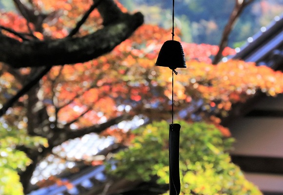 【作例付き撮影地情報】 京都の紅葉を撮る「西山・楊谷寺」