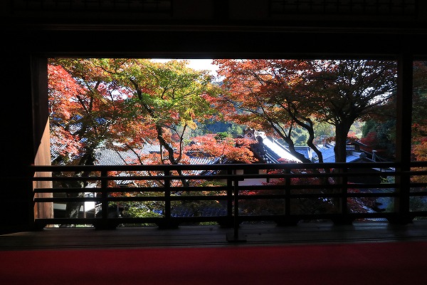 【作例付き撮影地情報】 京都の紅葉を撮る「西山・楊谷寺」