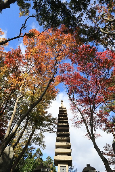 【作例付き撮影地情報】 京都の紅葉を撮る「西山・楊谷寺」