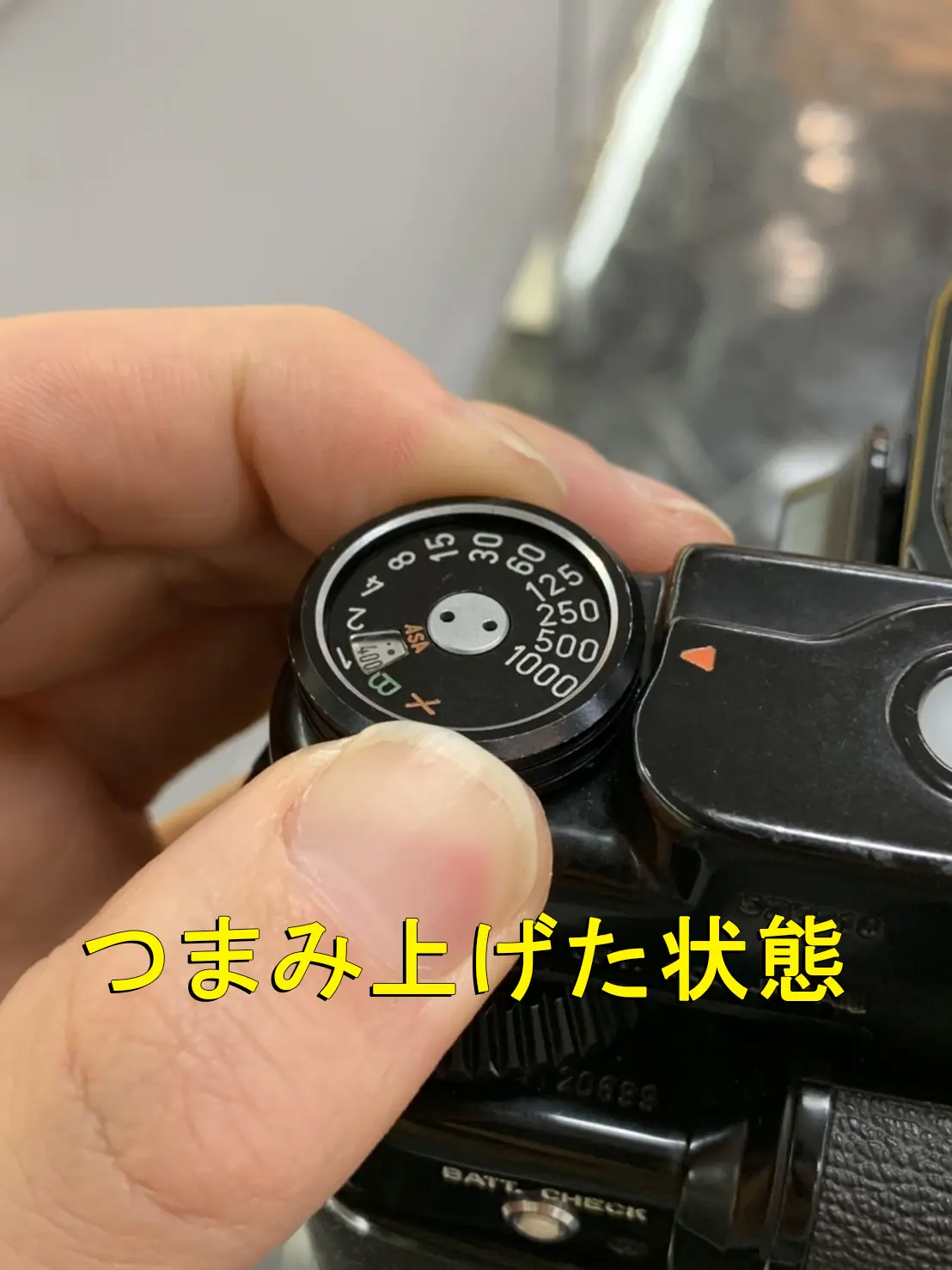 中判フィルム初心者向け】PENTAX 67シリーズの使い方を作例付きで徹底解説