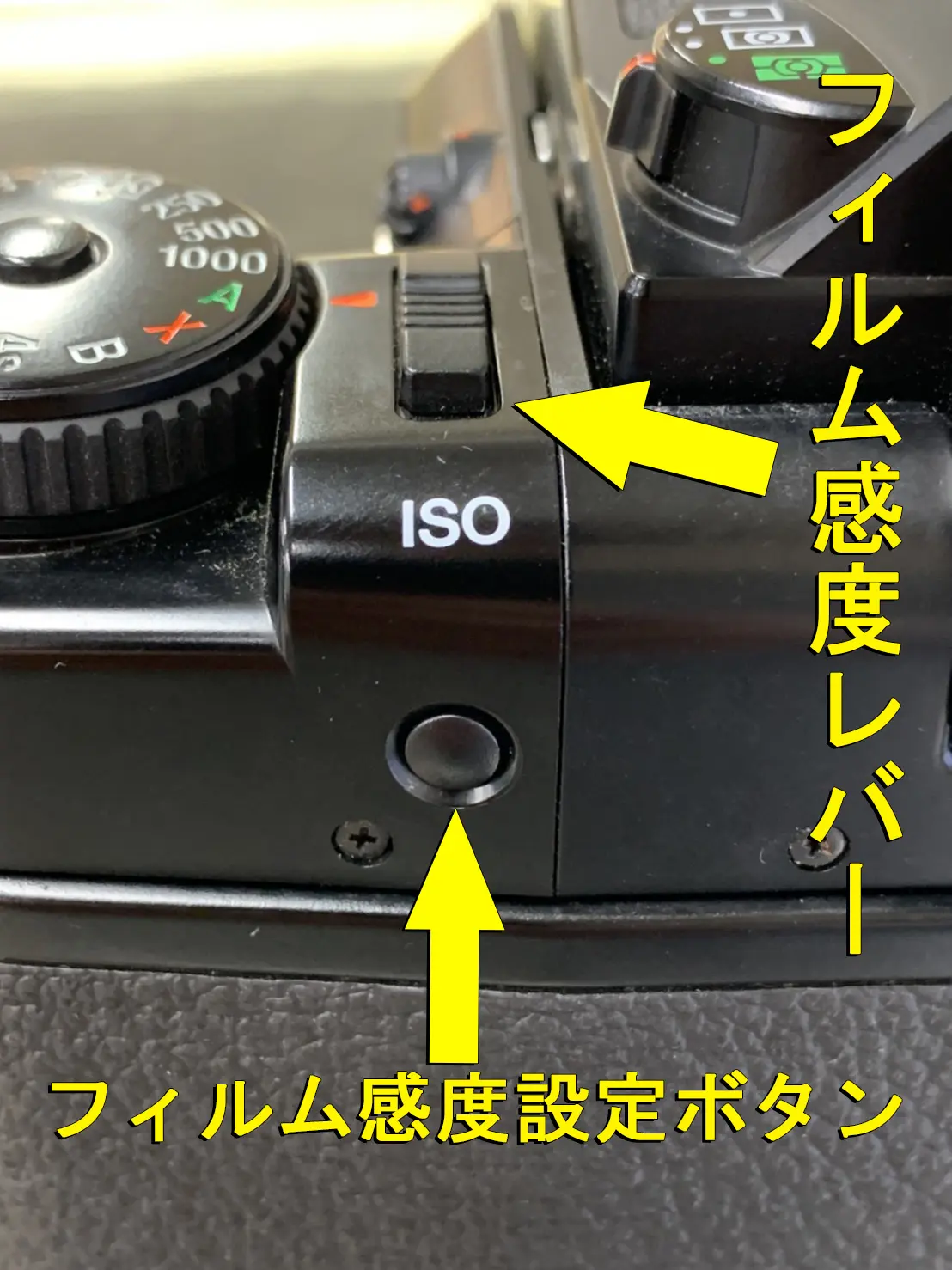 中判フィルム初心者向け】PENTAX 67シリーズの使い方を作例付きで徹底解説