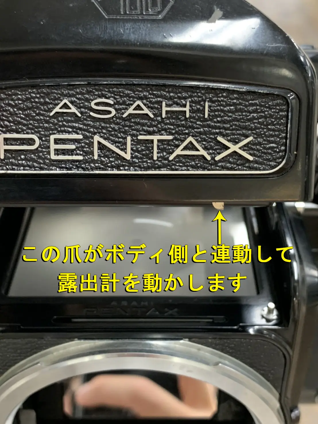 中判フィルム初心者向け】PENTAX 67シリーズの使い方を作例付きで徹底解説