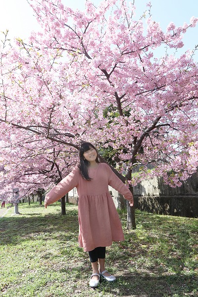 【作例付き撮影地情報】 京都市伏見区「淀水路の河津桜」
