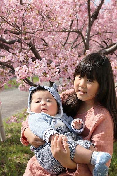 【作例付き撮影地情報】 京都市伏見区「淀水路の河津桜」