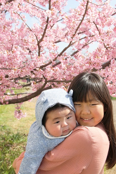 【作例付き撮影地情報】 京都市伏見区「淀水路の河津桜」
