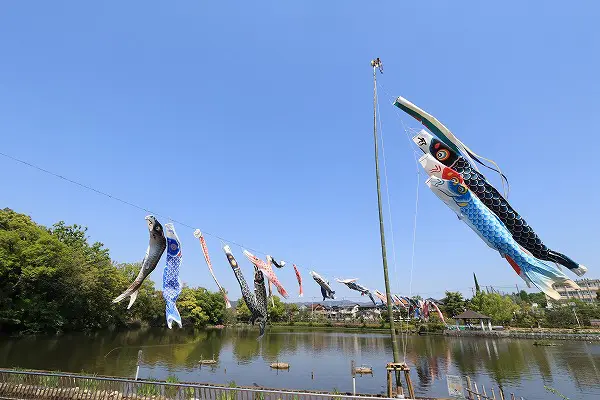 【作例付き撮影地情報】 大阪府枚方市「市民の森(鏡伝池緑地)の鯉のぼり」