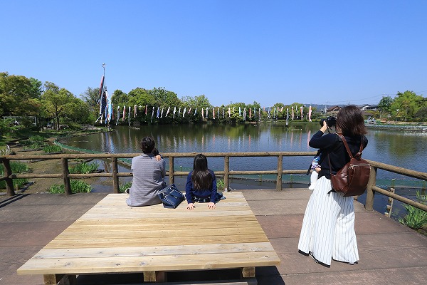 【作例付き撮影地情報】 大阪府枚方市「市民の森(鏡伝池緑地)の鯉のぼり」