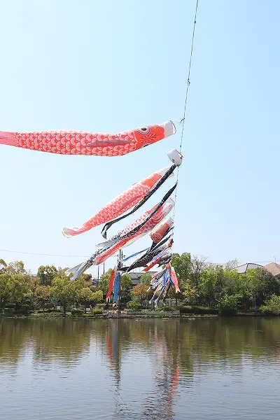 【作例付き撮影地情報】 大阪府枚方市「市民の森(鏡伝池緑地)の鯉のぼり」