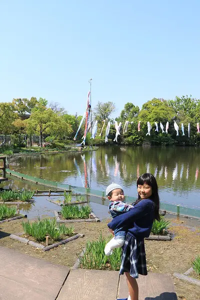 【作例付き撮影地情報】 大阪府枚方市「市民の森(鏡伝池緑地)の鯉のぼり」