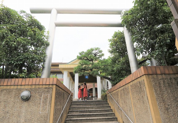 【作例付き撮影地情報】 京都府八幡市の夏「ひまわり畑と飛行神社」