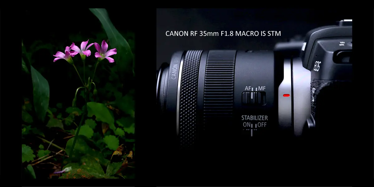 【Canon】RFレンズ 35mm F1.8 MACRO IS STM