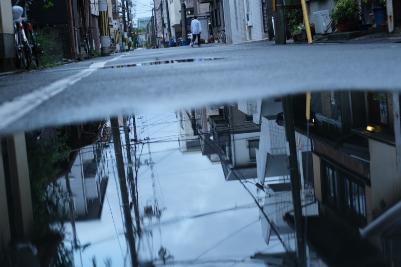 ニコンAi 50 1.4SとX-T4　バリアングルモニターが使いやすい