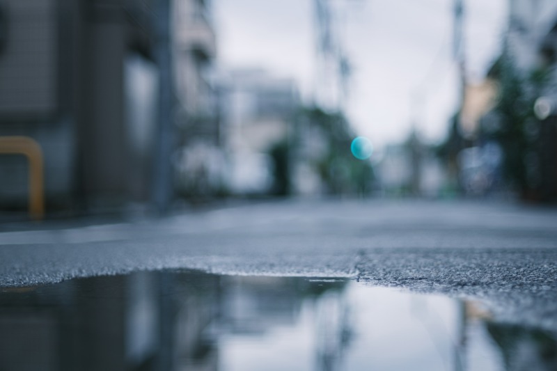 ニコンAi 50 1.4SとX-T4　バリアングルモニターが使いやすい