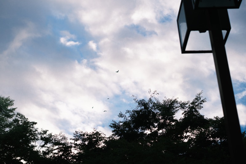 ニコンAi 50 1.4SとX-T4　遠景撮影