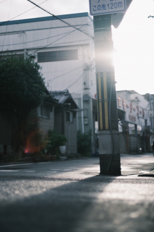 ニコンAi 50 1.4SとX-T4　逆光時の描写