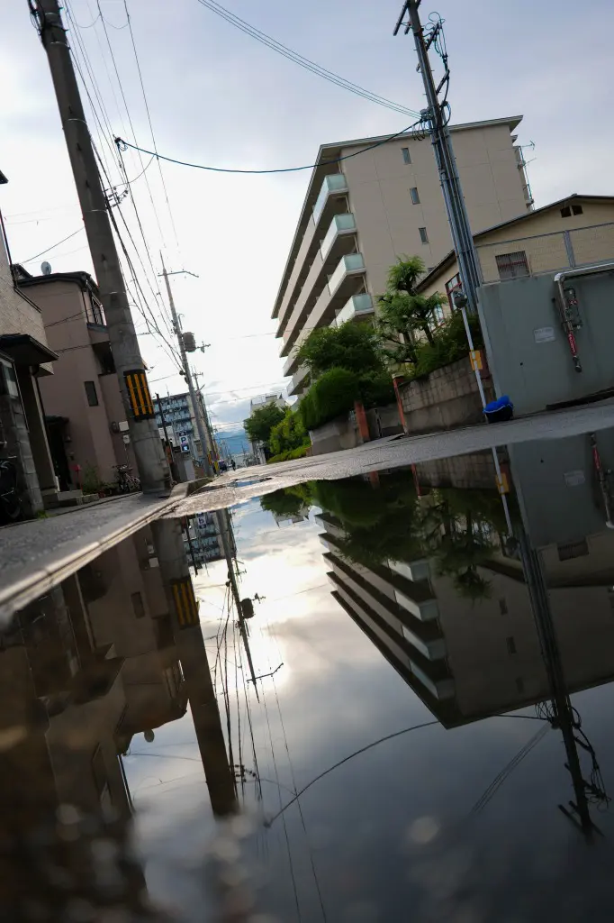 LUMIX S 24mm F1.8　スナップ撮影　水たまりの中の世界