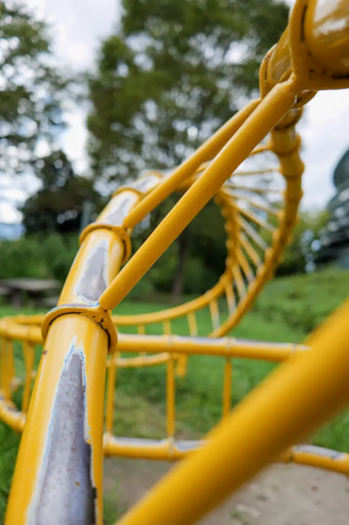 LUMIX S 24mm F1.8 スナップ 広角を活かしてうねりを表現