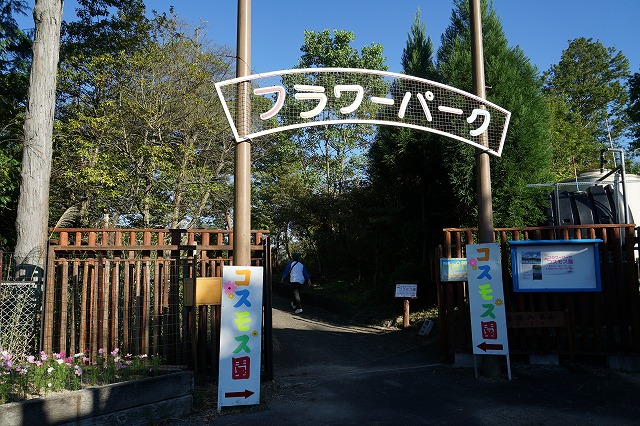 iriguchi