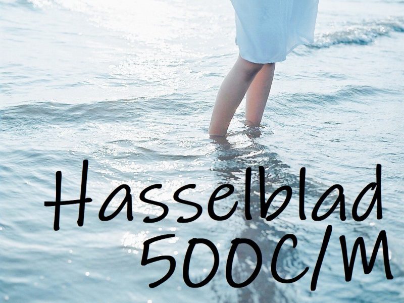 ハッセルブラッド500C/M 使用レビュー【作例多数】