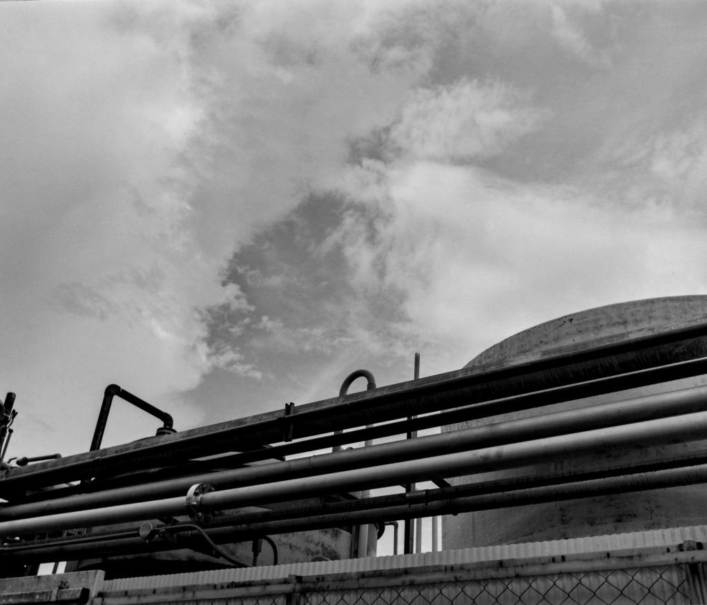 RB67 Pro S+セコールC65mmF4.5 :FUJIFILM 120 ACROS100 II　モノクロで絞った時のシャープさ