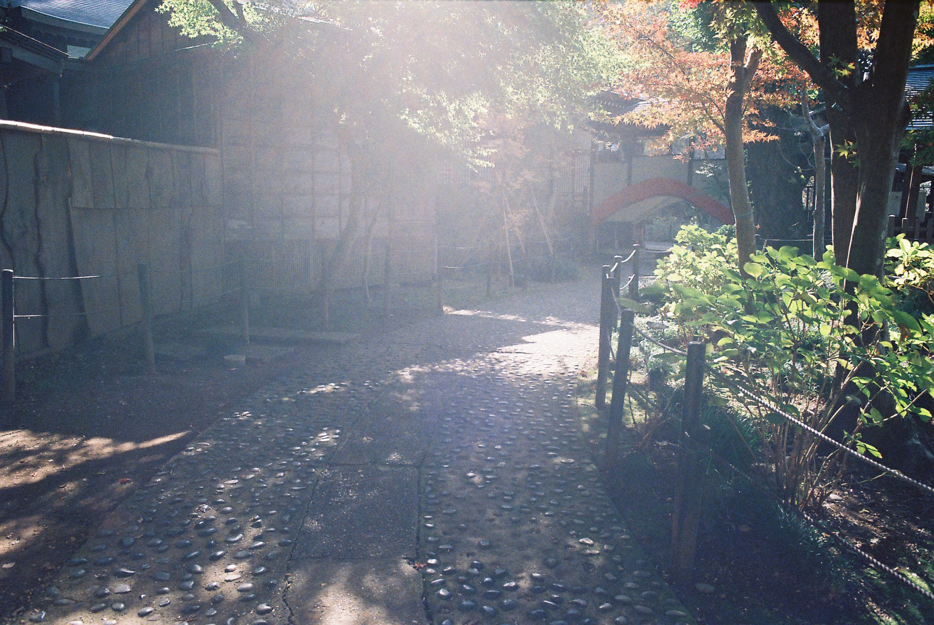 Film Never Die KiRO400とAUTO-W28/2.8