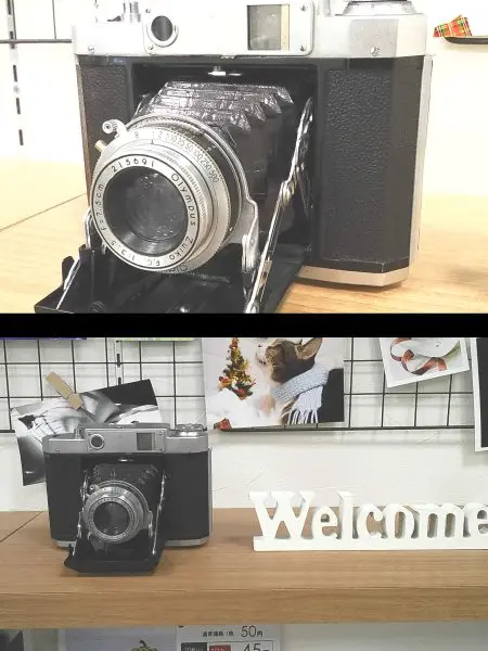 instax mini Evo 実写