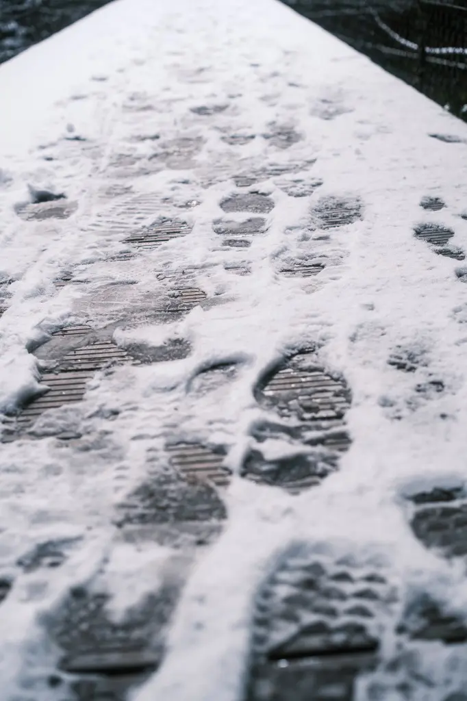 雪の上を通った誰かの足跡