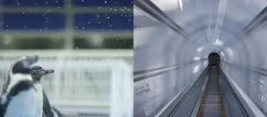 椎崎義之の写真の基本