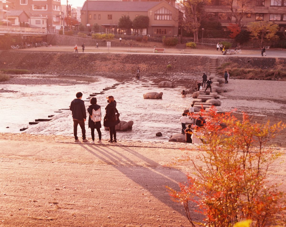 富士フイルム　期限切れフィルム