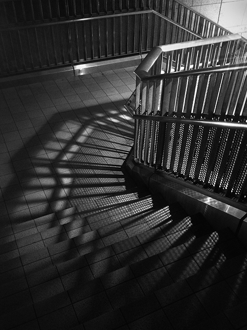 白と黒で表現する モノクロ写真入門
