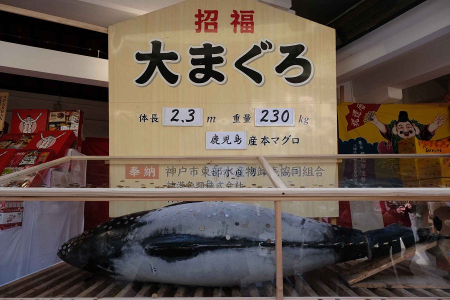 十日戎2022 大マグロ 冷凍