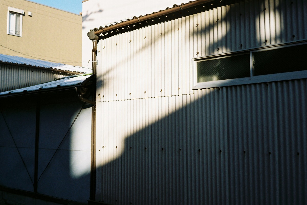 Leitz Minolta CL + NOKTON classic 40mm F1.4 MC (Kodak ProImage100)　