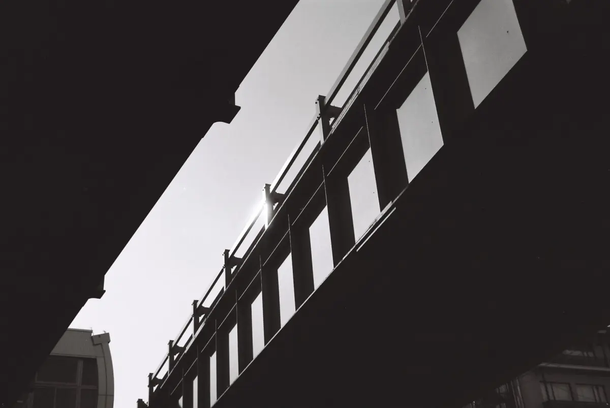 Leitz Minolta CL + NOKTON classic 40mm F1.4 MC (ILFORD DELTA 100 )　モノクロでシルエットを