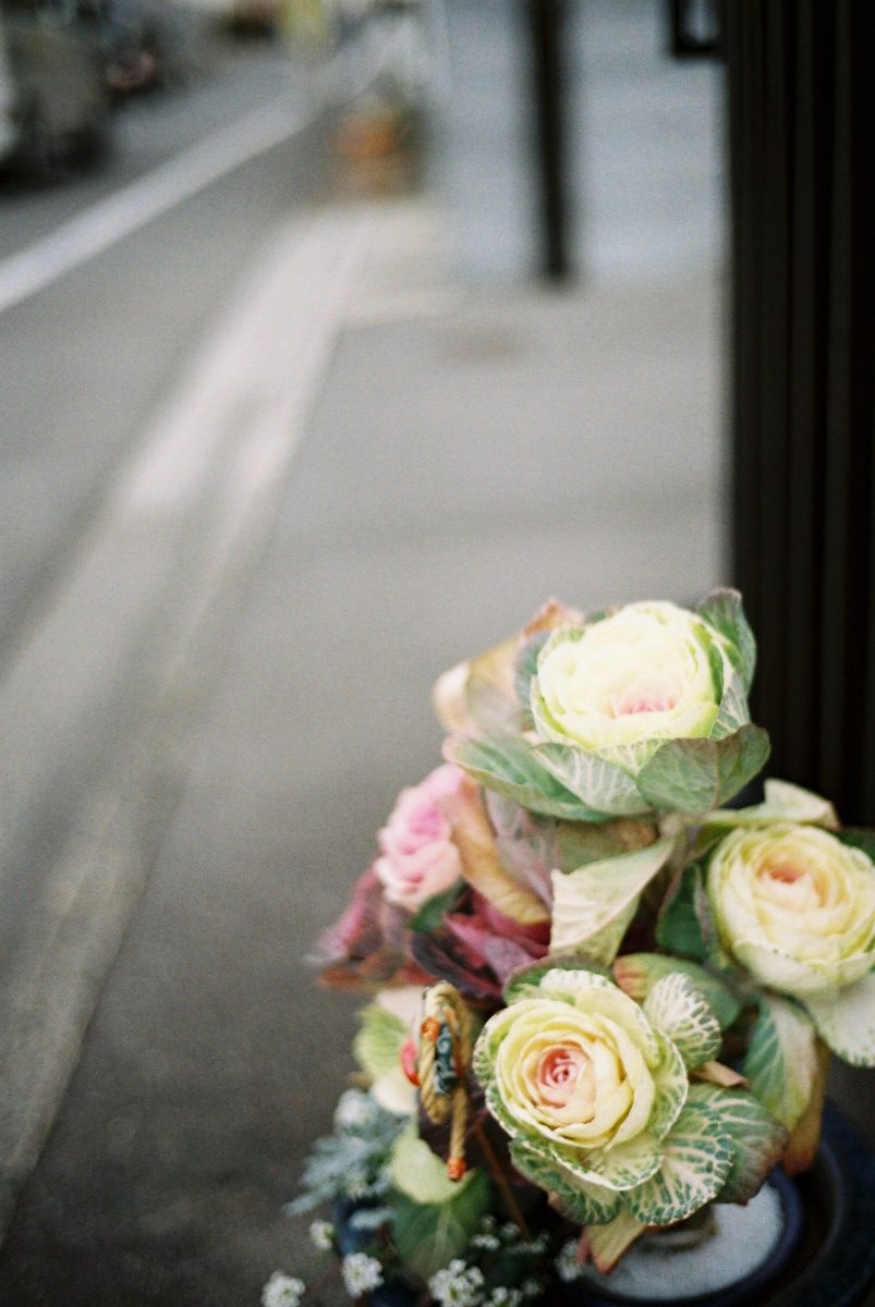 Leitz Minolta CL + NOKTON classic 40mm F1.4 MC (Kodak Pro Image100)　独特のボケ味