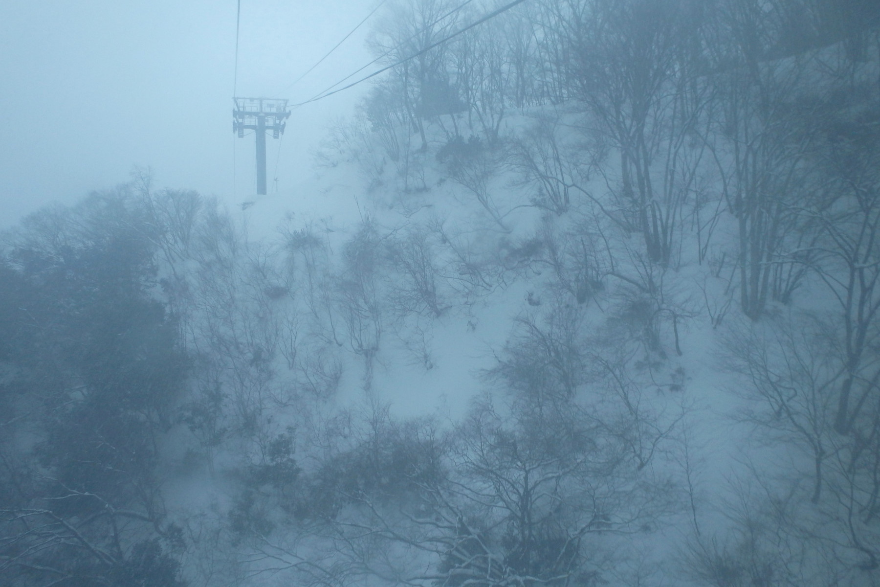 OLYMPUS STYLUS TG-830 Tough 作例