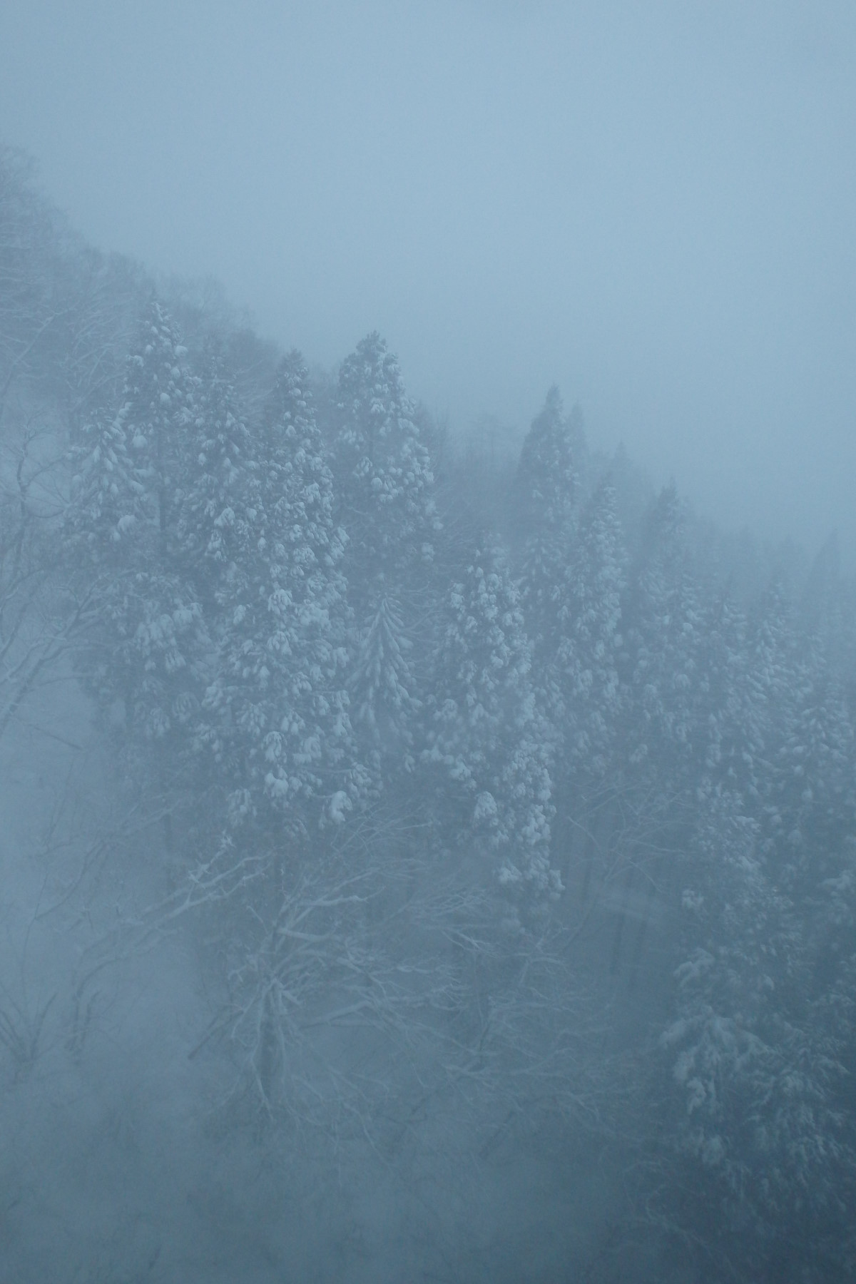 OLYMPUS STYLUS TG-830 Tough 作例