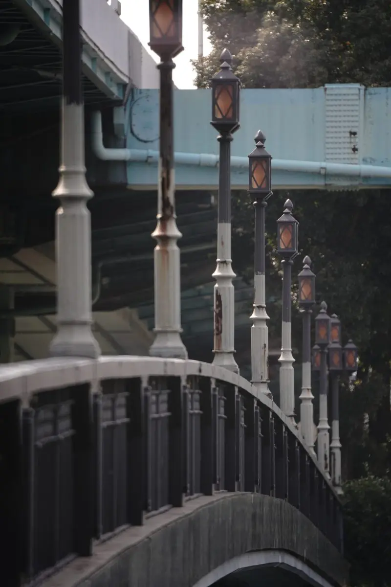 SZ 500mm F8 Reflex MF 圧縮効果 実例