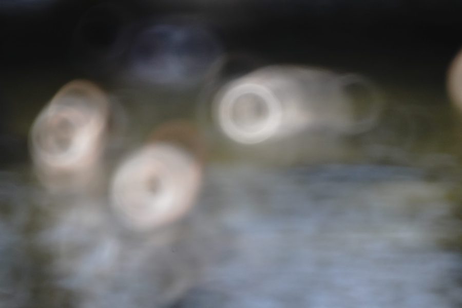 リングボケ 実例