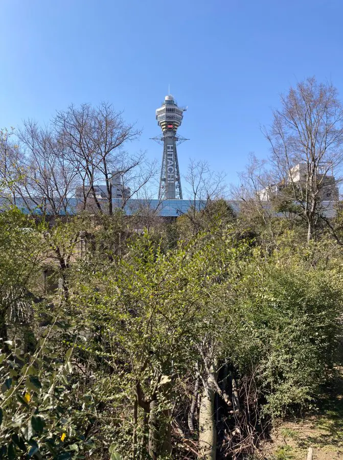 画角比較 スマホ