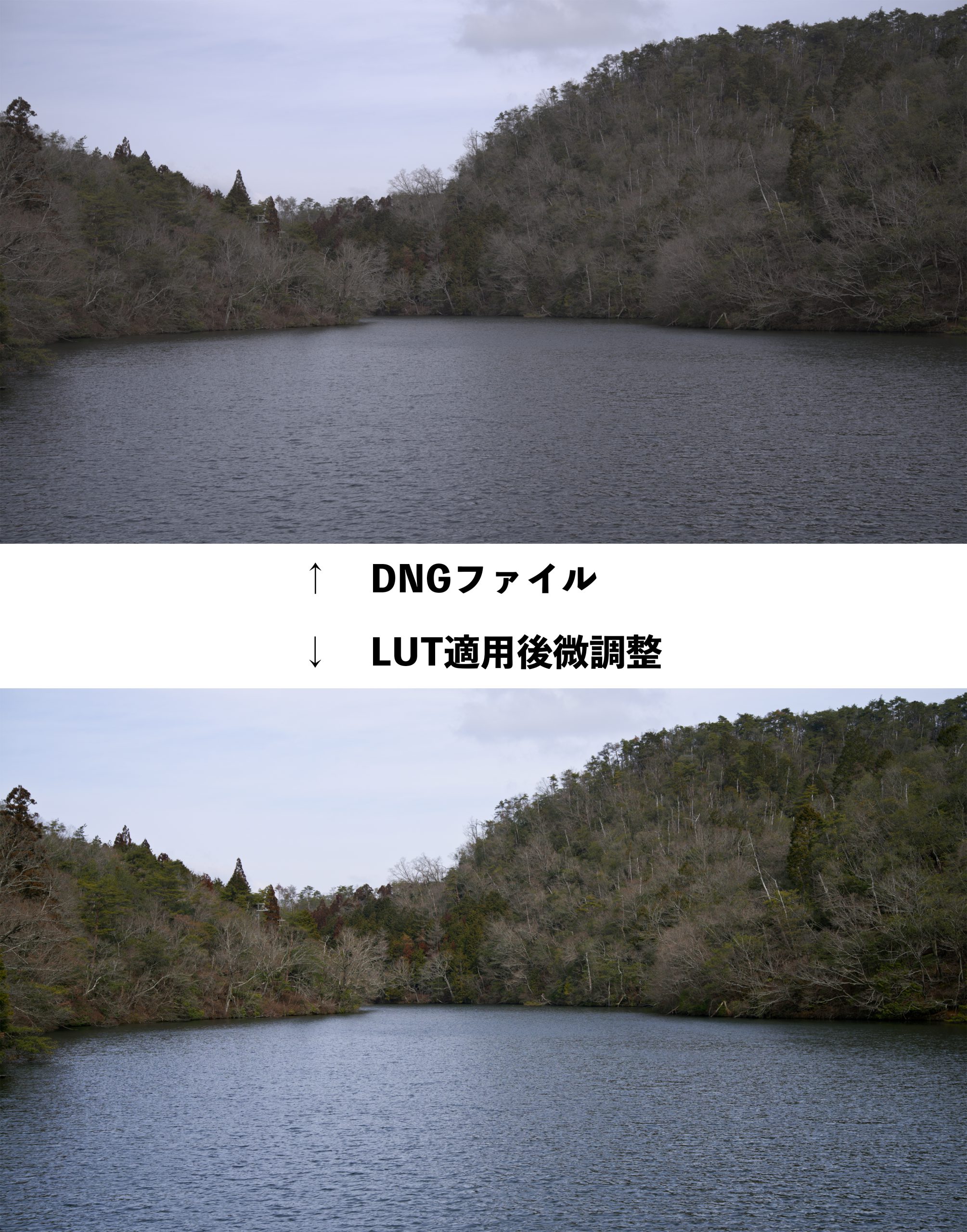 元のDNGファイルとLUT適用後の比較