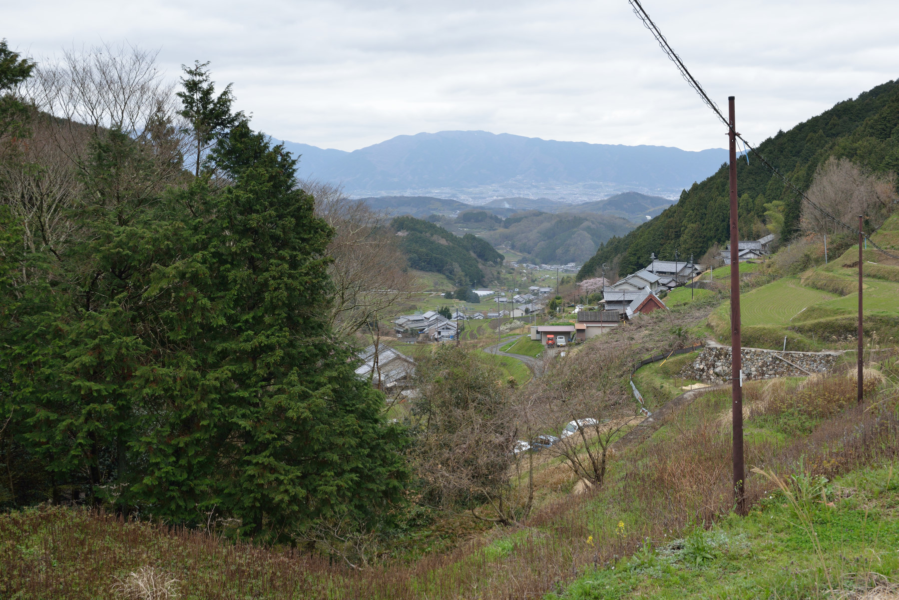 宇陀市 田園風景