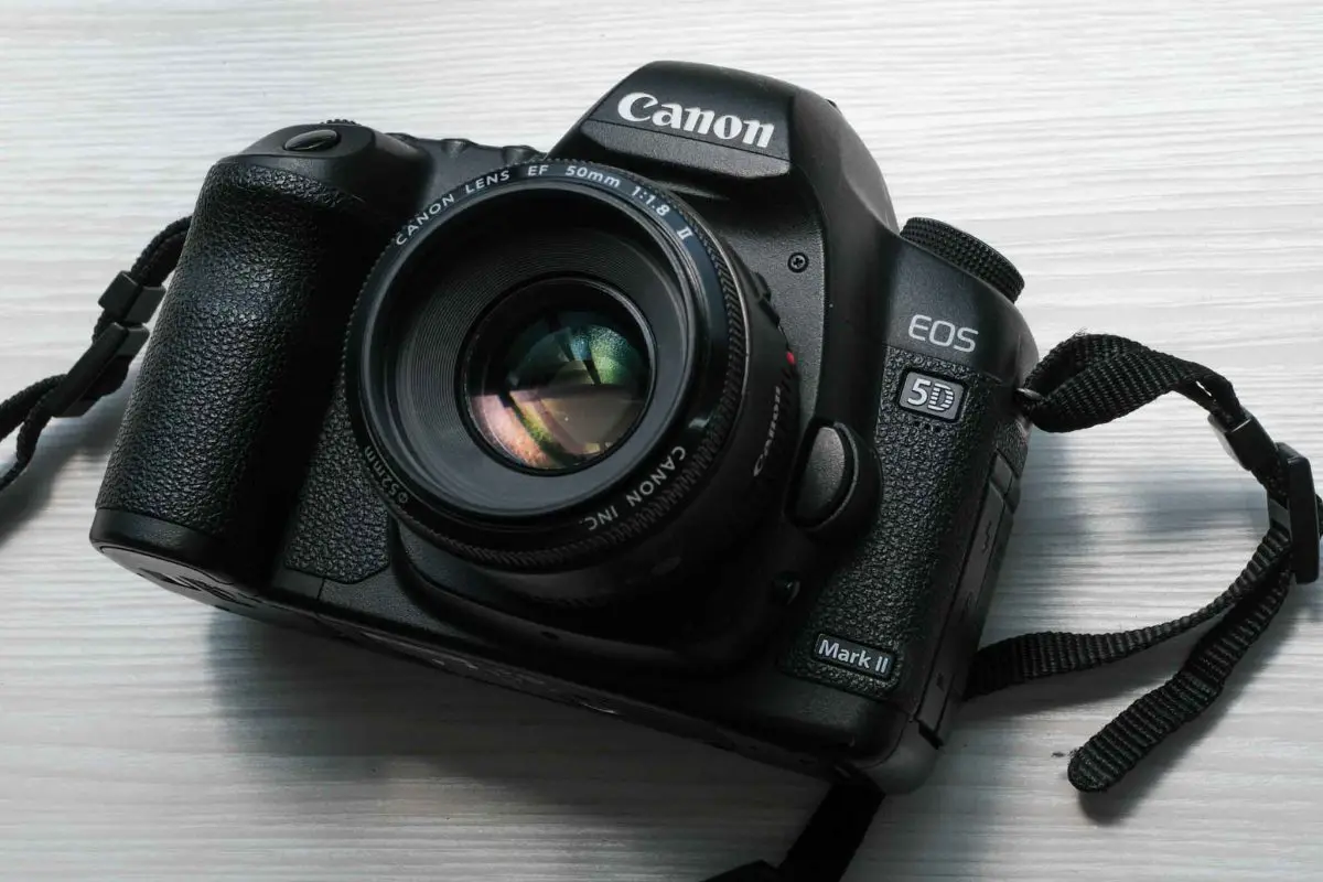 14年前のデジカメで写真を撮ってみた【EOS 5D Mark II】