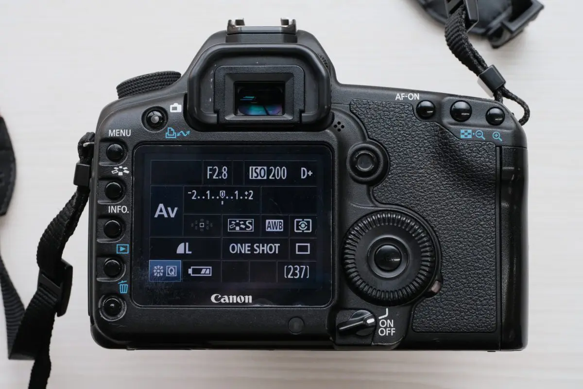 14年前のデジカメで写真を撮ってみた【EOS 5D Mark II】