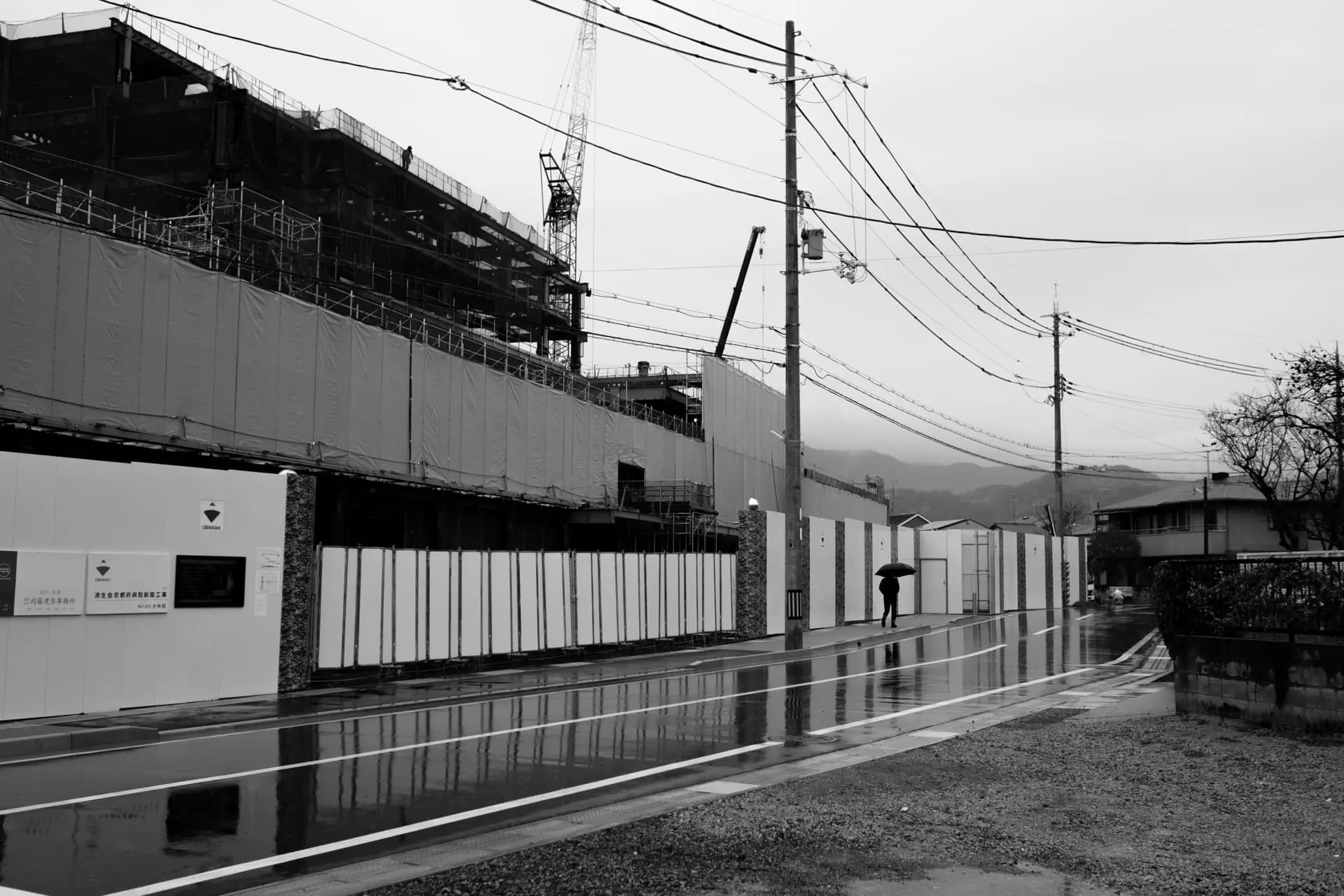 路面が濡れてツヤがでている