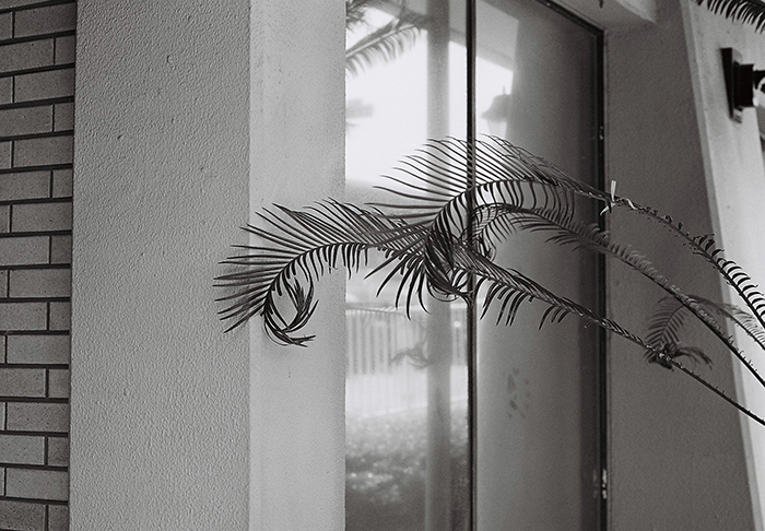 ILFORD XP2 Super 400【作例】⓻