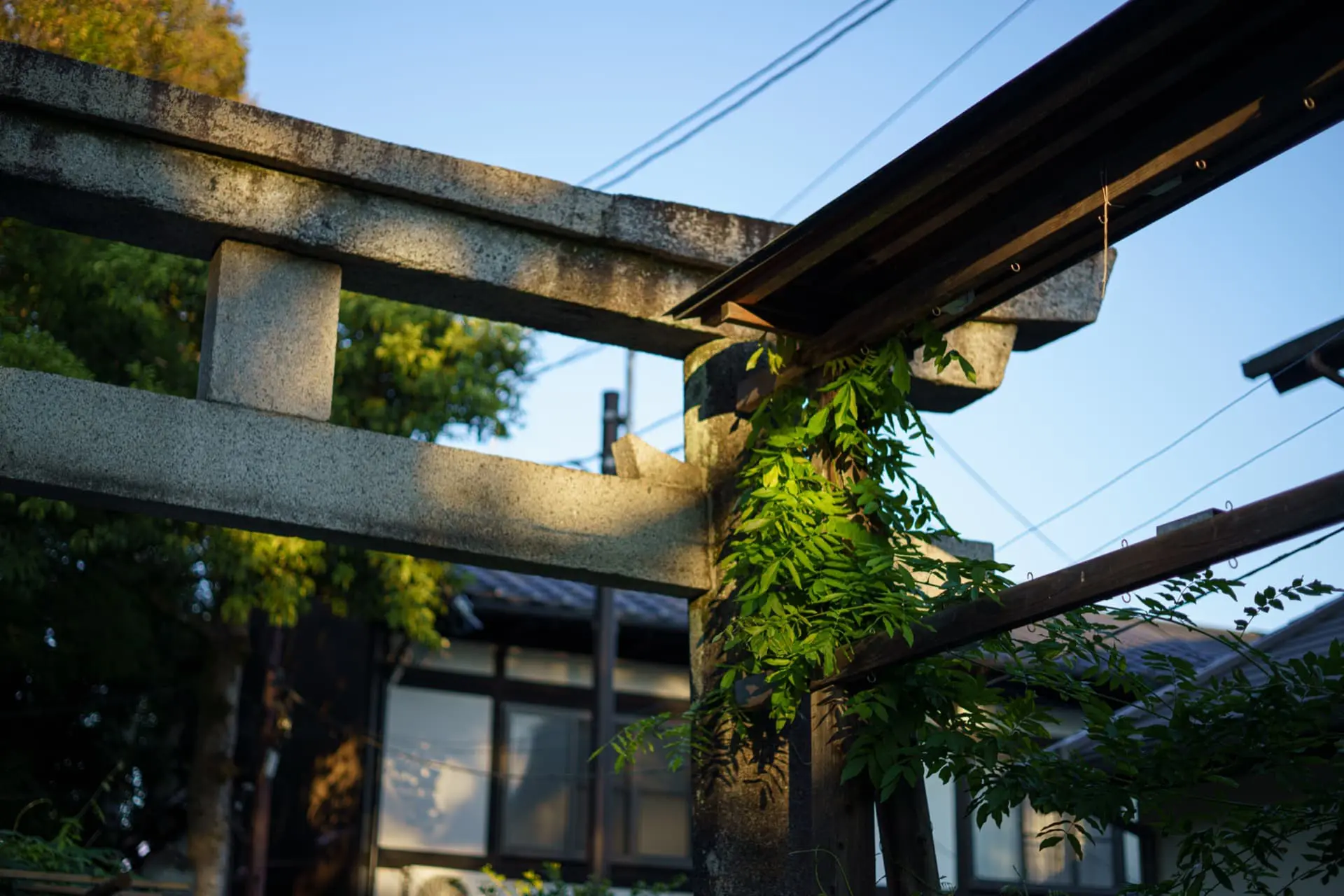 ZEISS Loxia 2/50作例　神社　少し周辺減光