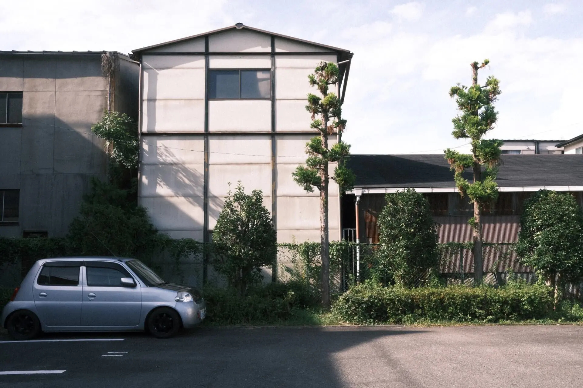 クラシックネガ（写ルンです風カスタム）
